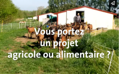 vue d'une vidéo sur le test d'activité