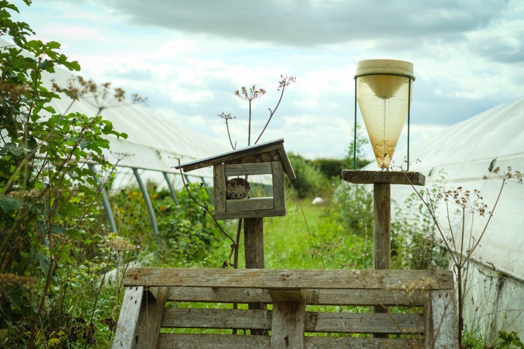 Vue d'un pluviomètre et d'un hôtel à insectes déposés entre deux tunnels