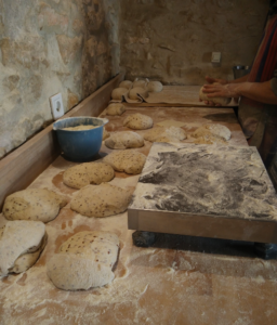 Un homme façonne des boules de pain dans son fournil