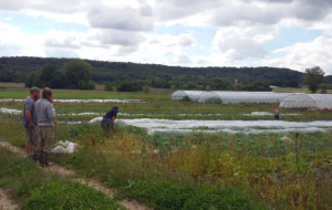 Des personnes parlent devant les champs cultivés à Saulx Les Chartreux
