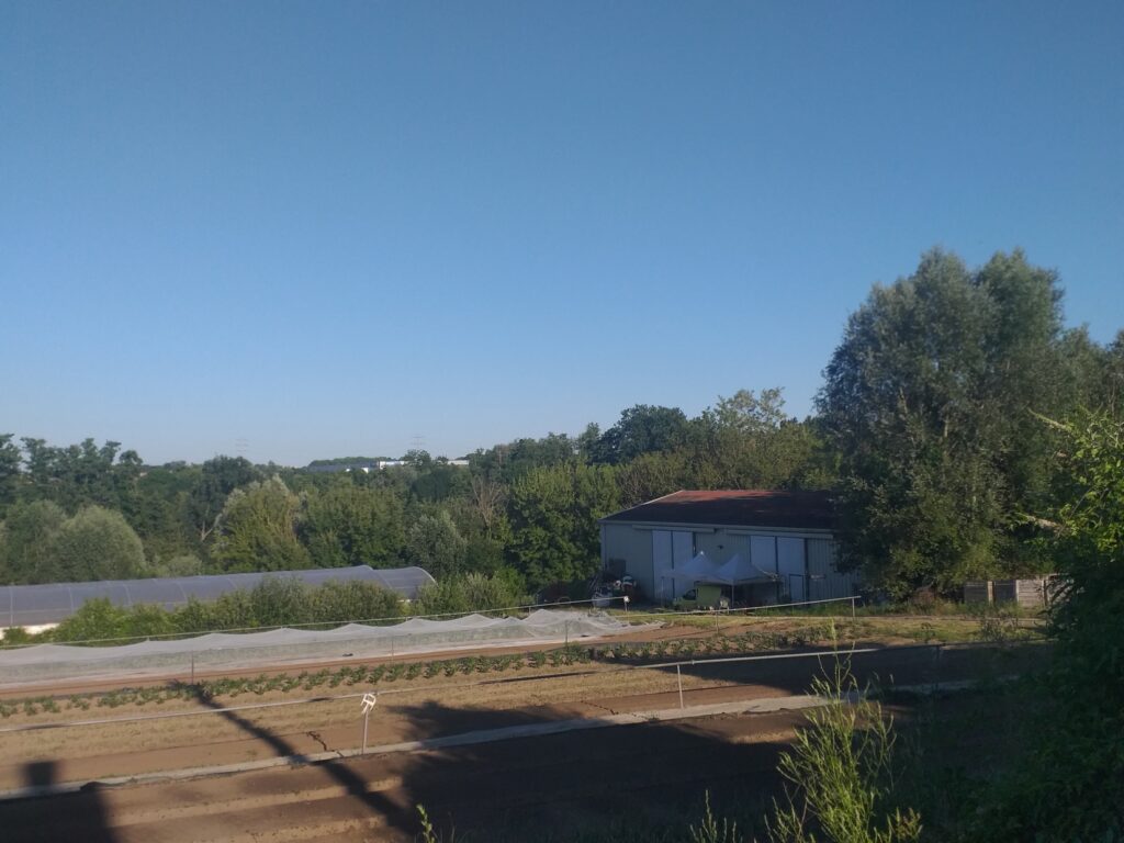Vue de champs cultivés et d'un bâtiment construit en dur, appartenant à la ferme.