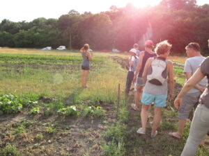 Groupe de personnes marchant le long de champs cultivés. Ils visitent les lieux en fin de journée.