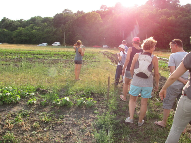 Groupe de personnes marchant le long de champs cultivés. Ils visitent les lieux en fin de journée.