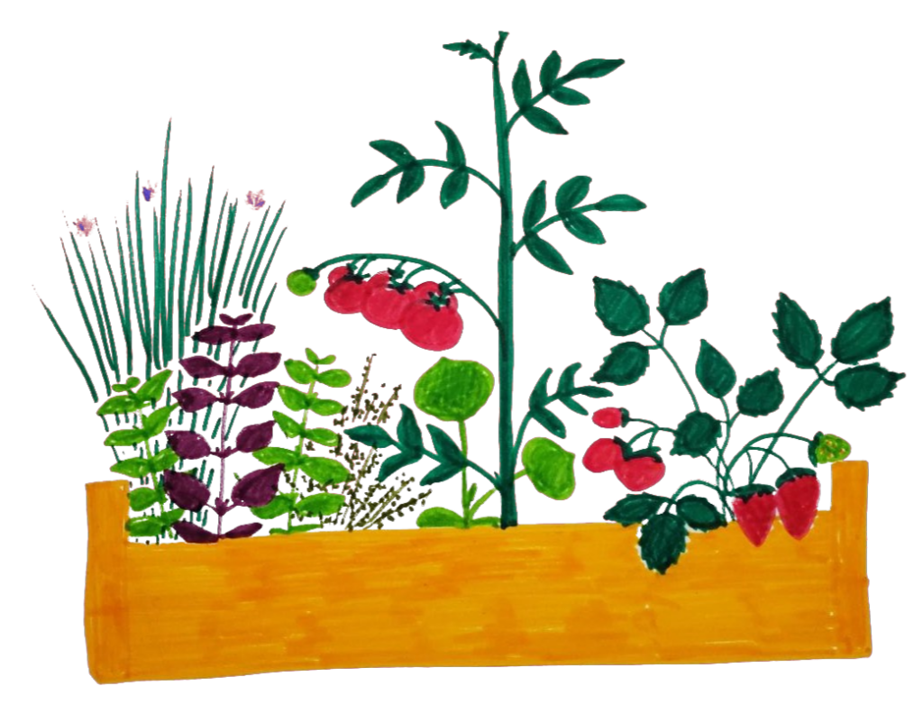 logo de la pépinière d'agathe représentant des plants de potager dans un bac de culture