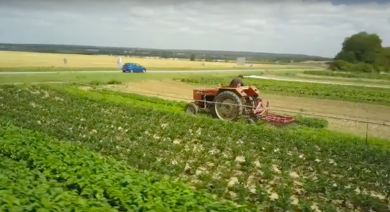Vue sur un champ dans lequel passe un tracteur équipé d'une herse étrille pour le désherbage