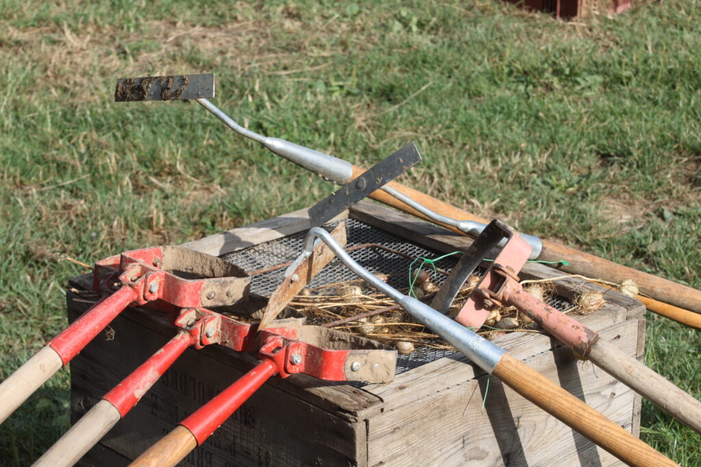 Visuels de sarcloirs et binettes, outils de désherbage, posés sur une caisse lors d'un chantier participatif dans un champ.