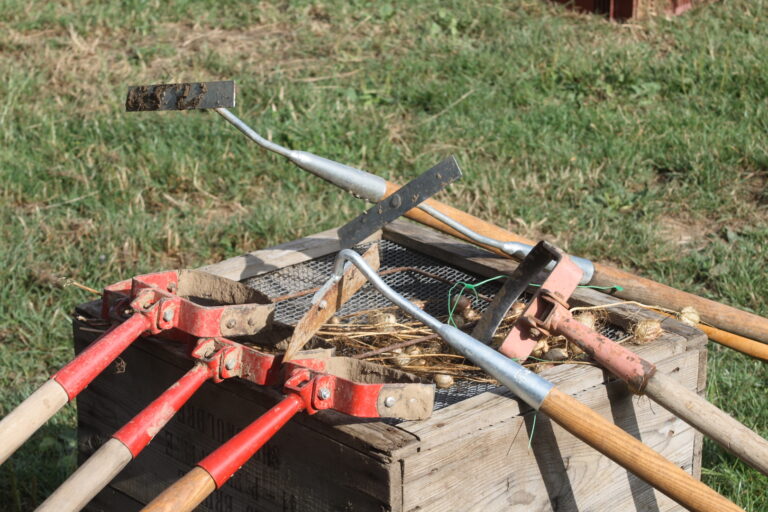 Visuels de sarcloirs et binettes, outils de désherbage, posés sur une caisse lors d'un chantier participatif dans un champ.
