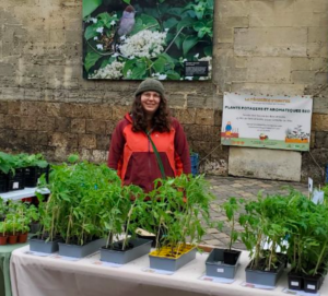 Une femme se tient derrière un étalage de plants au marché