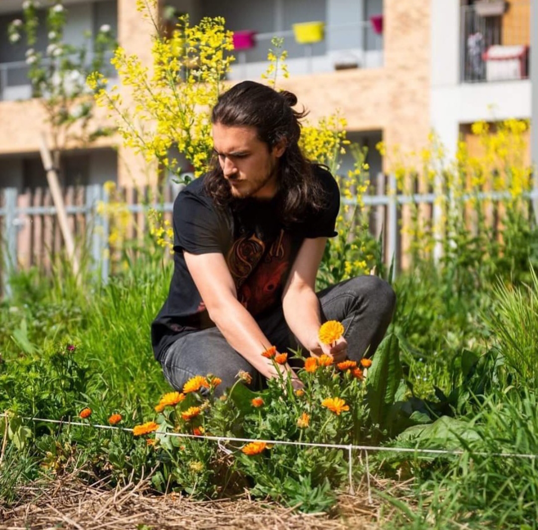Maraicher entretenant des plantes