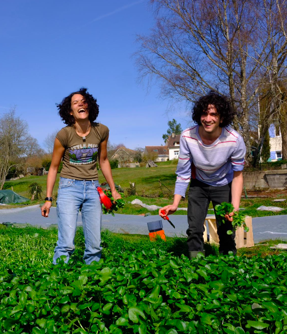 Duo de cultivateurs de cresson au champs