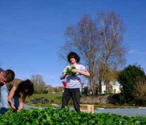 Portrait de Lucas, producteur de cresson