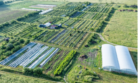 Vue aérienne d'une ferme avec de nombreuses parcelles cultivées