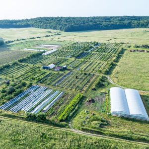 Vue aérienne champs avec tunnels